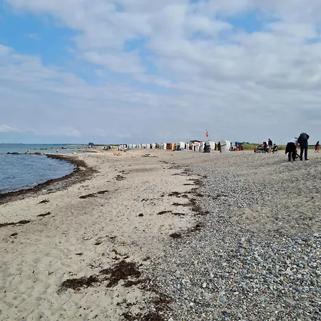 Strandgut *